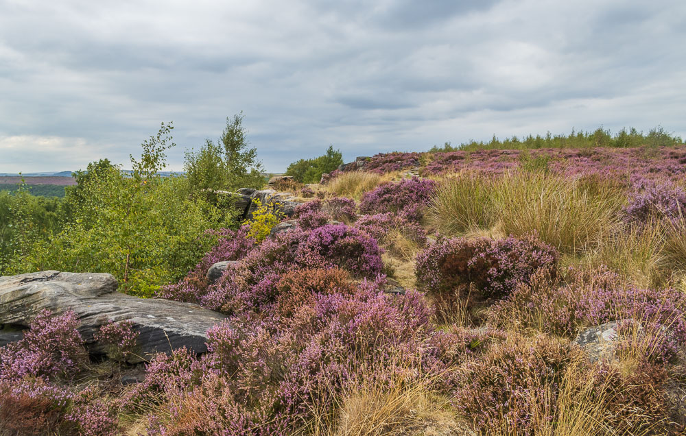 Birchen Edge